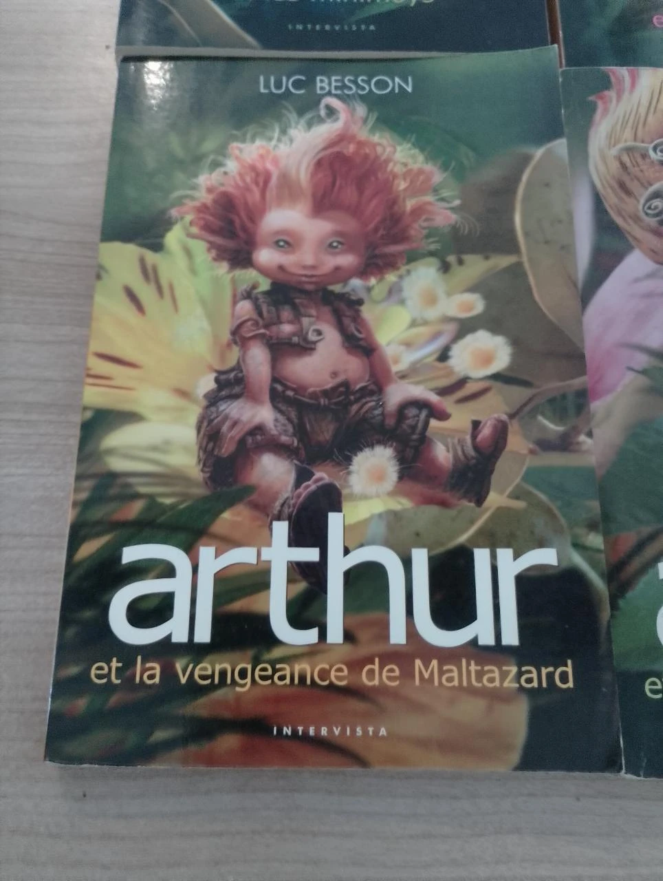 Arthur e os Minimoys, tomo 1, 2, 3, 4 – photo 4